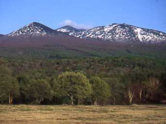 �y�G�[�XJTB�E�������s�z�X�c�A�[�E�X�̗��فE�z�e���\��@